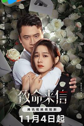 碑林seo排名优化公司